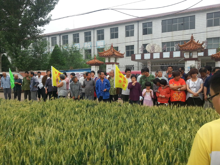 ��֯��ũ��ָ�����⼼��֪ʶ