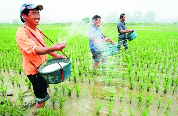 Ҷ��΢��Ӧע�ؼ���