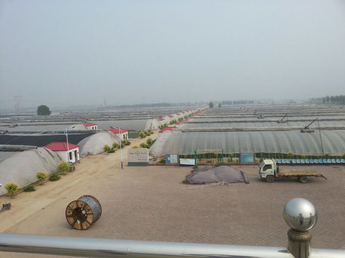 ޻�Ƕ�ׯũҵ��ҵ������